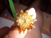 /album/fenykepgaleria/pict1567-jpg/